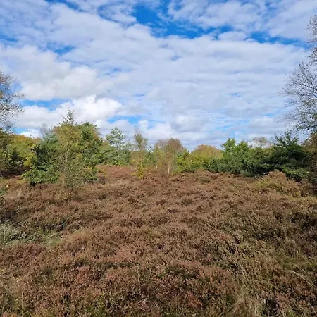 Unique Coastal Retreat - By Traum * Hadsund