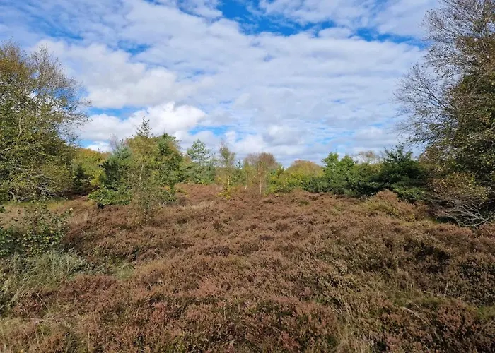 Unique Coastal Retreat - By Traum * Hadsund